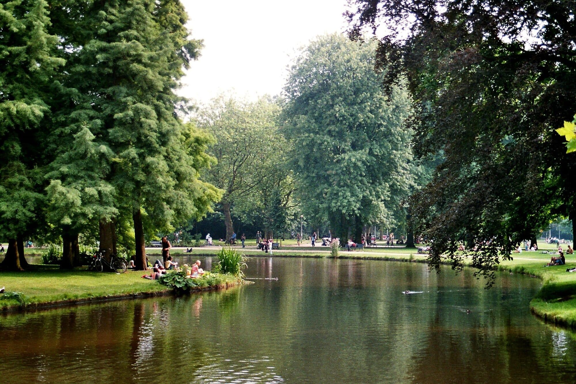 Trees along the water in Vondelpark